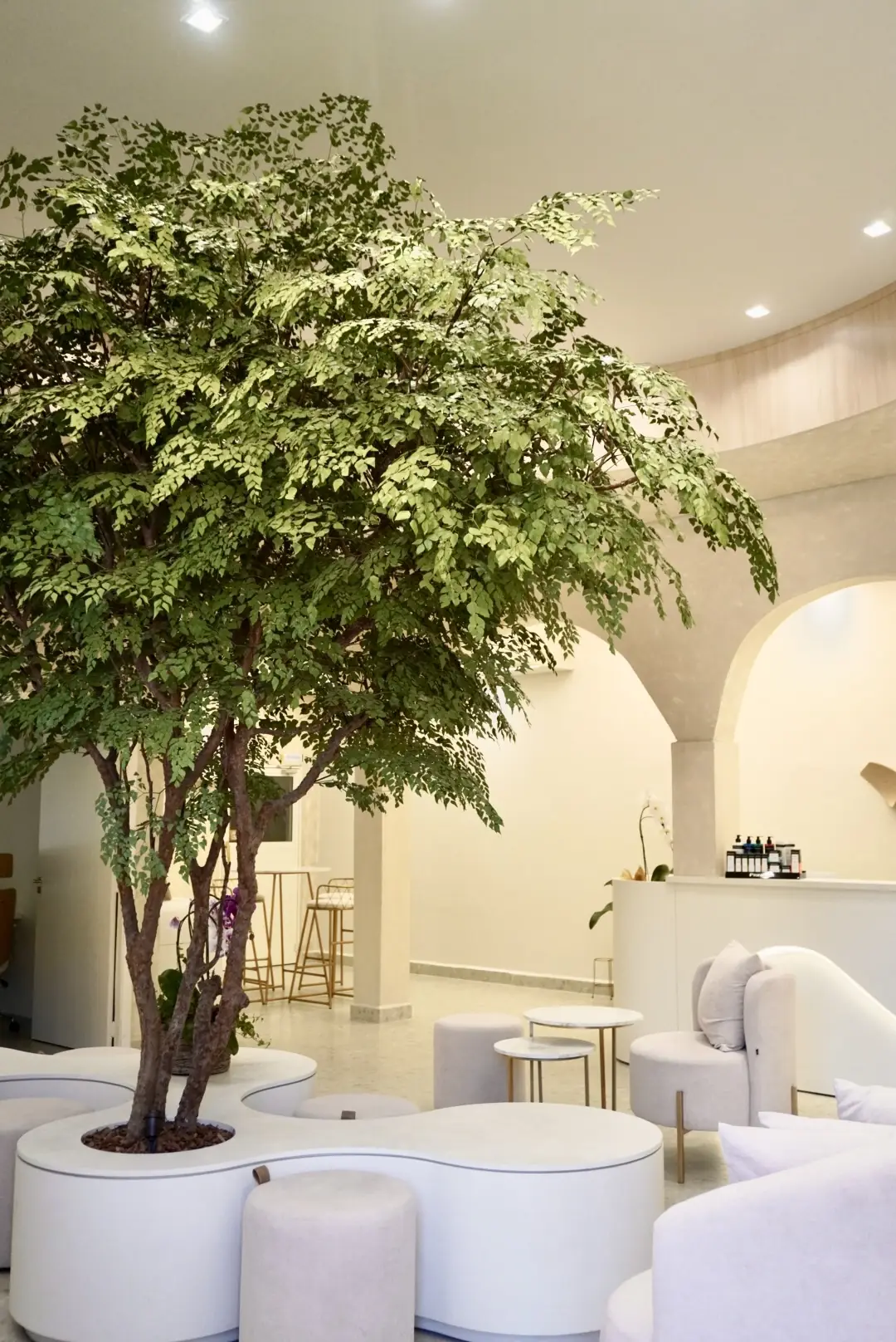 Ambiente sofisticado da Clínica Six Aesthetics